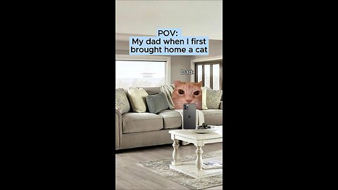 pov.my dad when I first brought home a cat 🐈😺