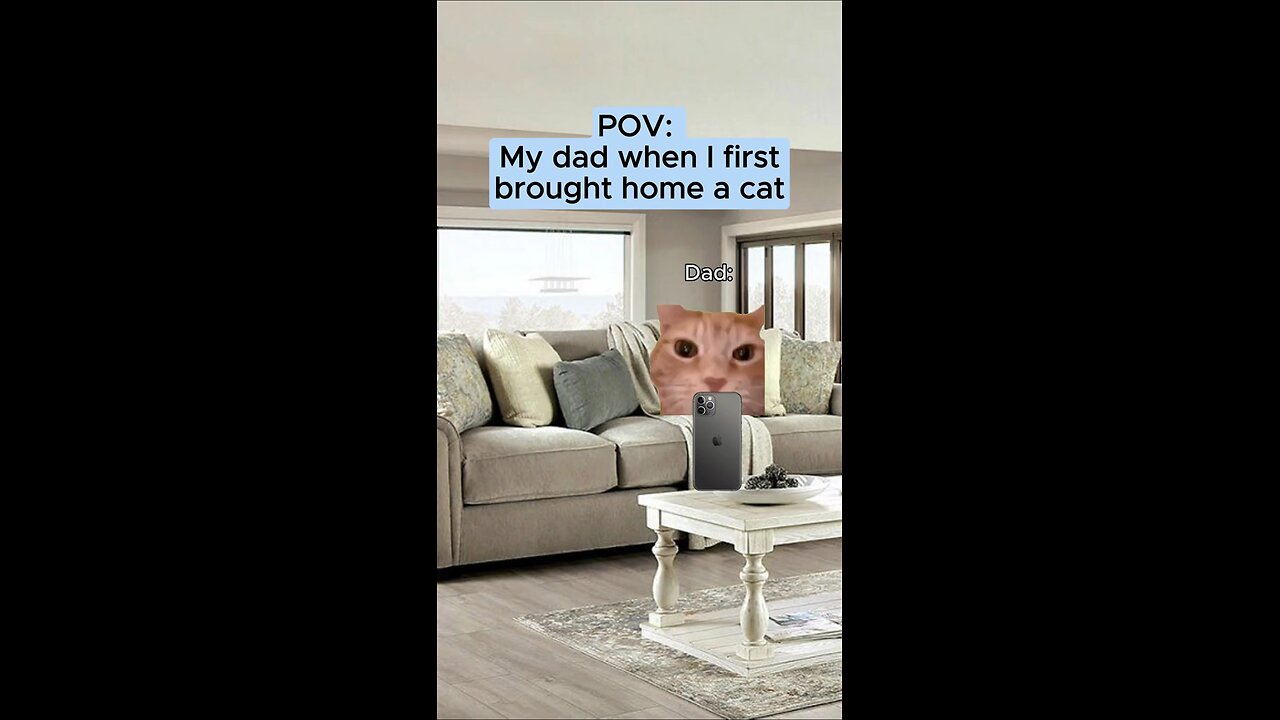 pov.my dad when I first brought home a cat 🐈😺