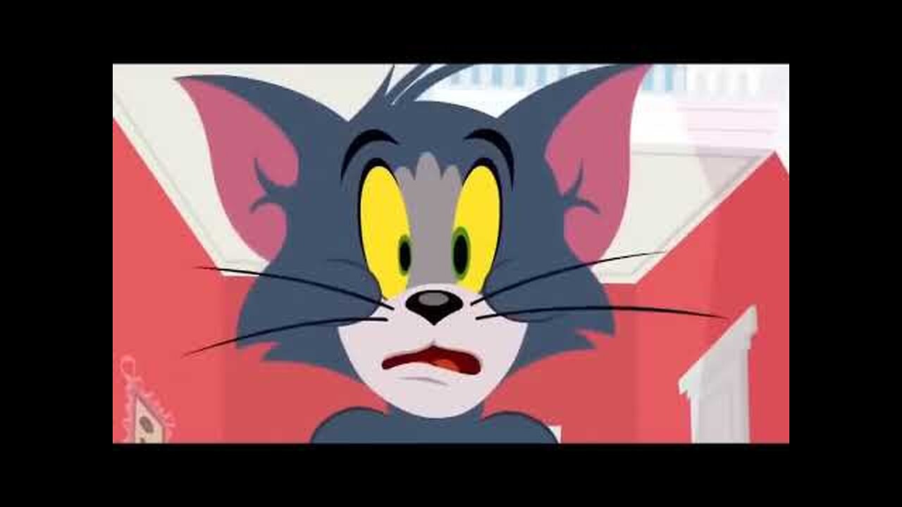 Tom and Jerry Cartoon full episodes in English new