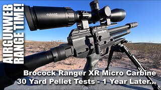 .22 Caliber Brocock Ranger XR Micro Carbine - How is it doing 1 year later? 7 Pellets at 30 Yards