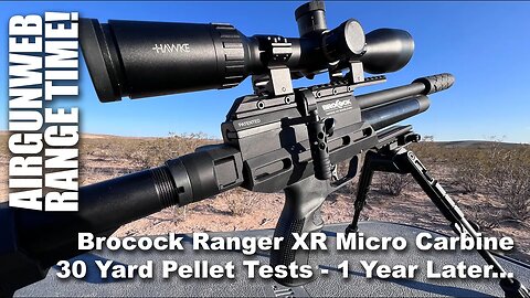 .22 Caliber Brocock Ranger XR Micro Carbine - How is it doing 1 year later? 7 Pellets at 30 Yards