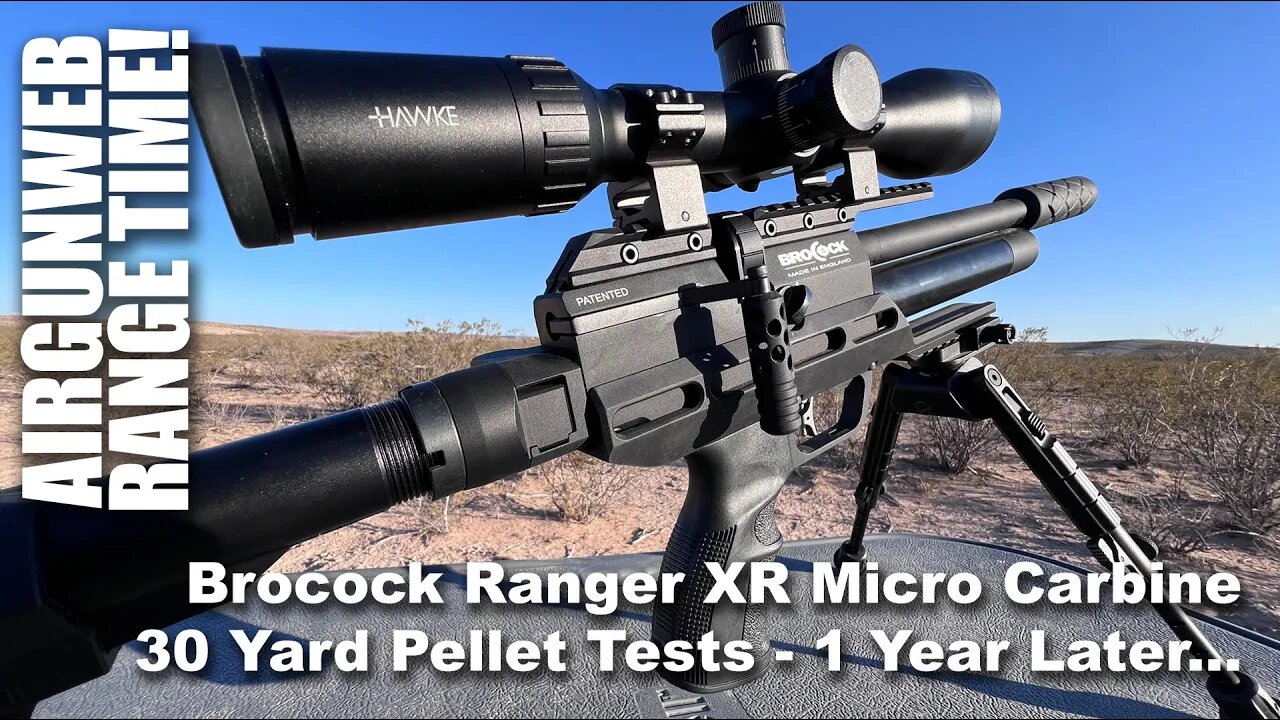 .22 Caliber Brocock Ranger XR Micro Carbine - How is it doing 1 year later? 7 Pellets at 30 Yards