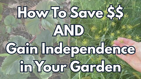 How to Save $$ and Gain Freedom in Your Garden