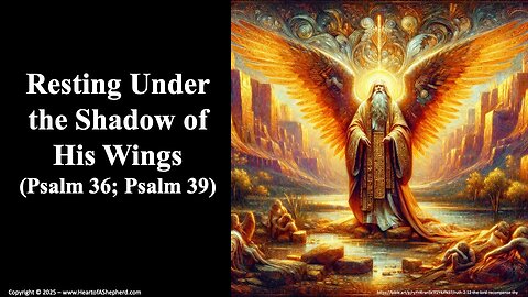Resting Under the Shadow of His Wings (Psalm 36), from www.HeartofAShepherd.com