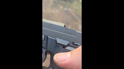 20rd 32acp P226 Clone