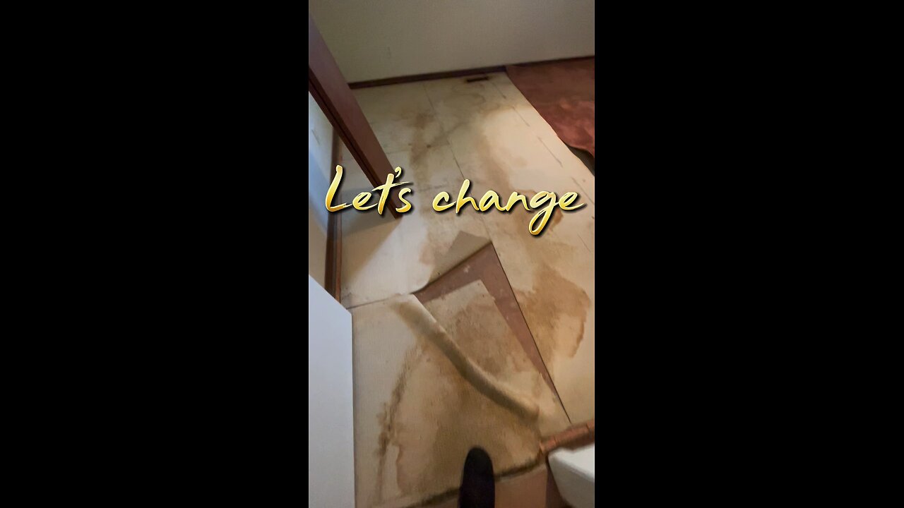 Goodbye Old Carpet, Hello Luxury