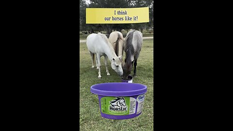 Our horses trying HorsLic Omega Elite for the first time. Will they like it?