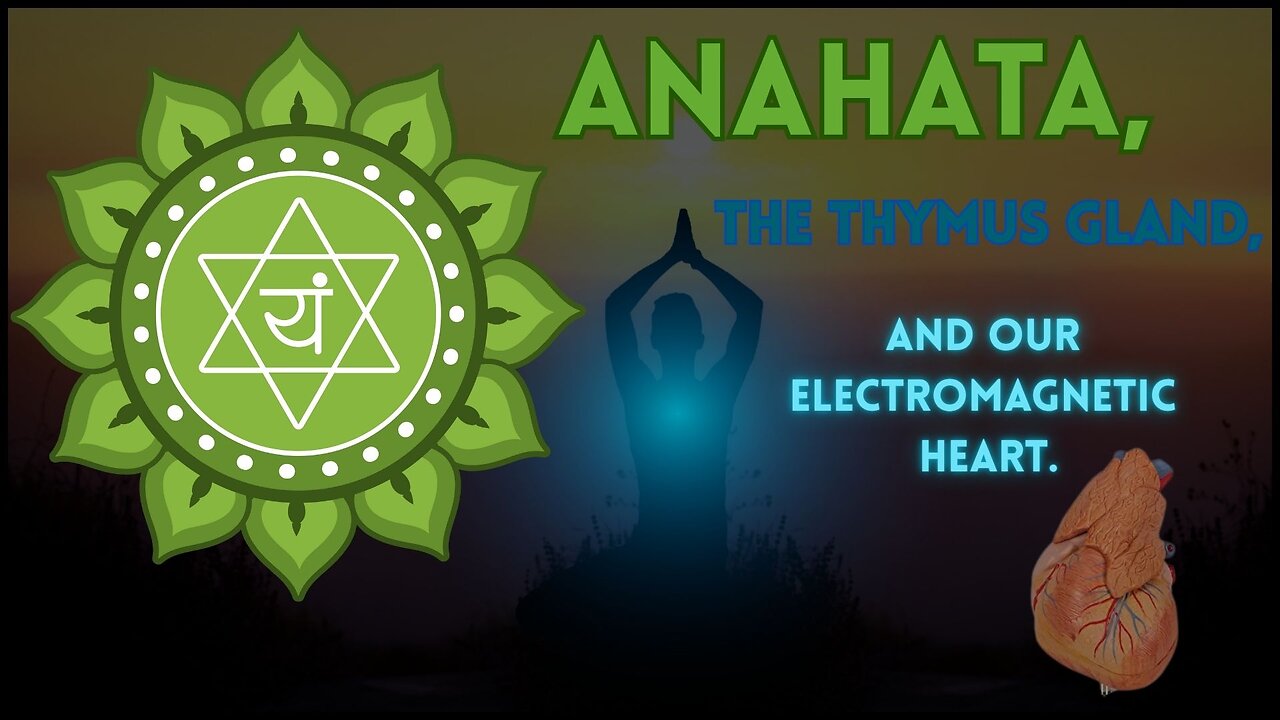 Anahata Chakra, the Thymus Gland, and our Electromagnetic Heart.