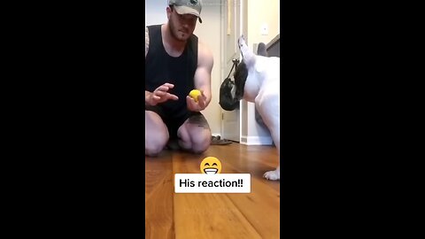 his reaction 🤯😂