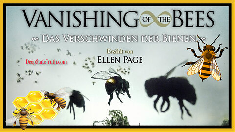 🎬 Documentary: 'The Vanishing of the Bees' 🐝 Investigating the Mysterious Phenomenon of 'Colony Collapse Disorder'
