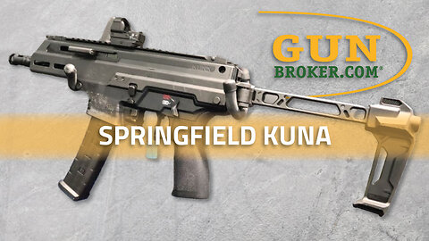 Meet the Springfield Kuna – A Roller-Delayed, Ambi 9mm Powerhouse