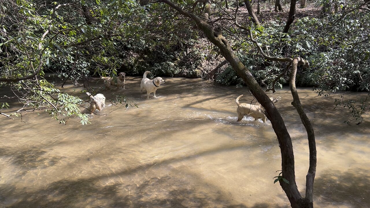 Creek time