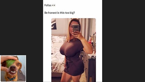 Memes That Will 99.0534% Make You Laugh. (e758)