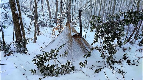 Bushcraft Winter Camping With Dog in Deep Snow | Survival Camp Cooking & ASMR Nature
