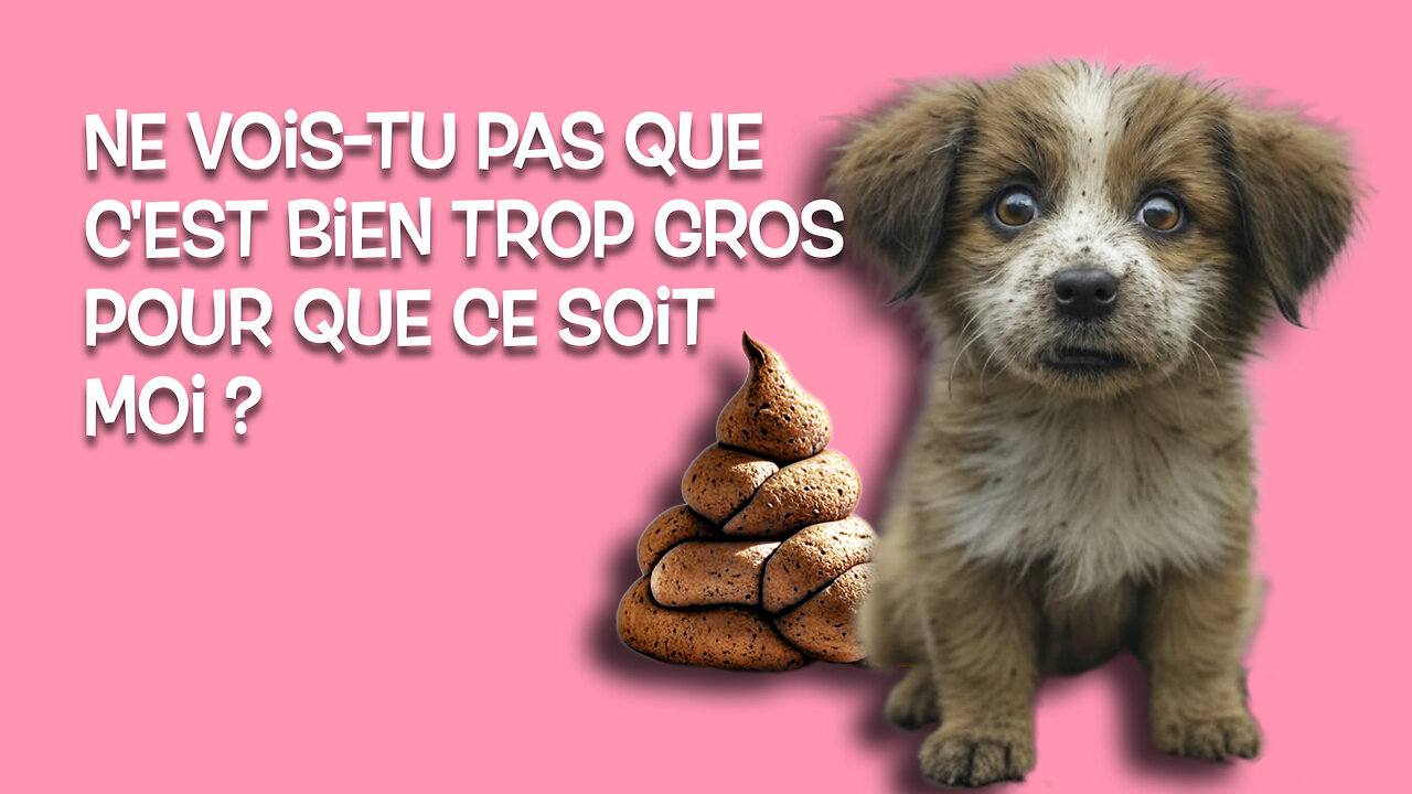 Comment apprendre la propreté à ton chiot