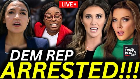 Dem Rep ARRESTED by Alina Habba After ICE Attack— AOC FURIOUS!