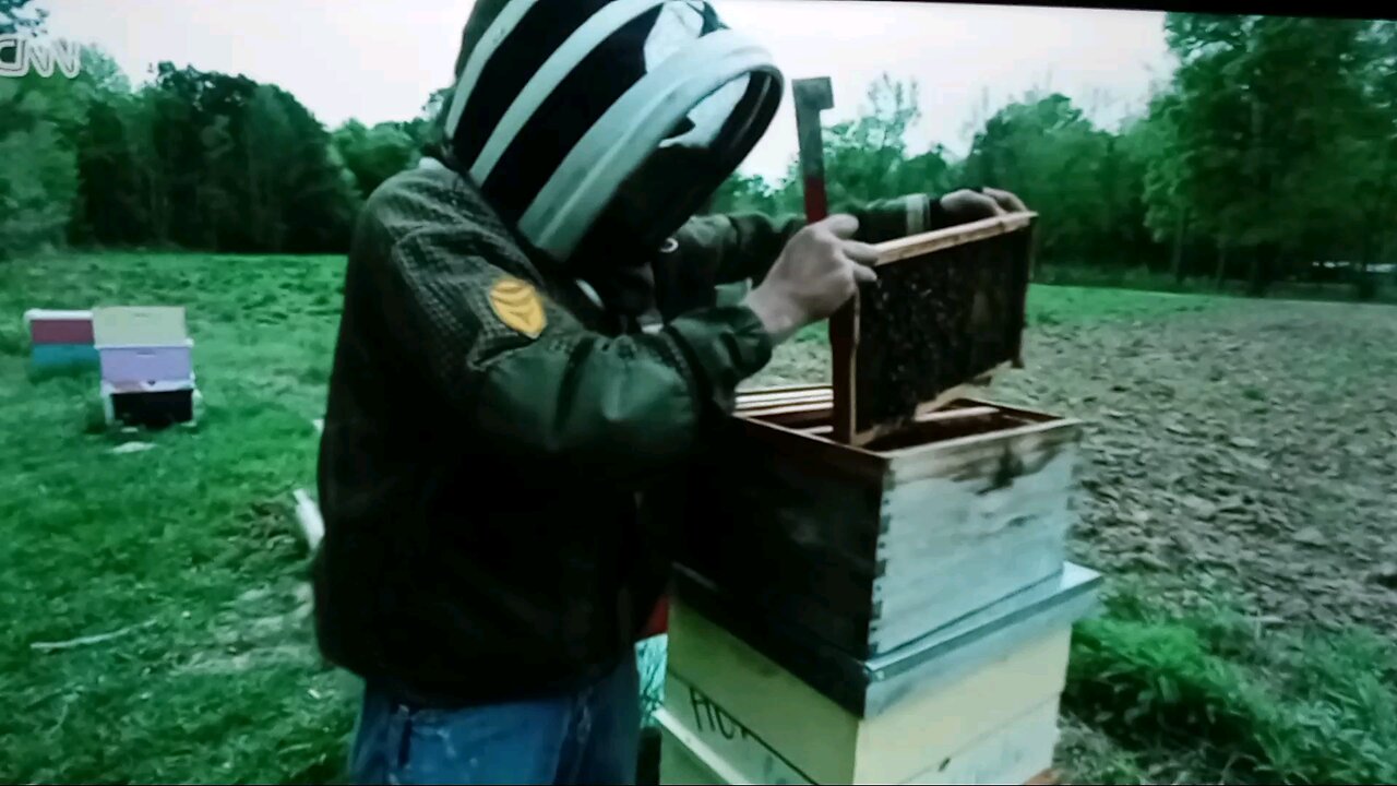 Big Shake Up At Airport! Scan Your Face, You're In!