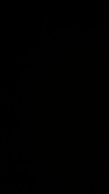 Wholesome family entertainment