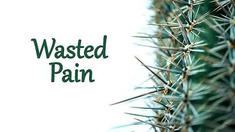 "Wasted Pain"