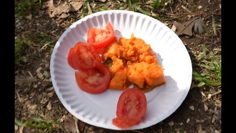 Chicks got a choice. Sweet potato or tomato. Which gets chomped first? Finally some chasing, too.