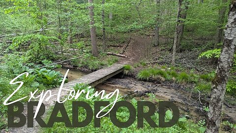 A DIFFICULT…but quick hike at Bradford | Full Hike POV | Hiking ASMR, Nature ASMR | Lowell, MI