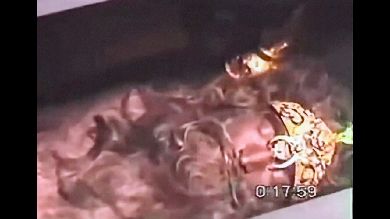 Gilgamesh's Tomb: Nephilim