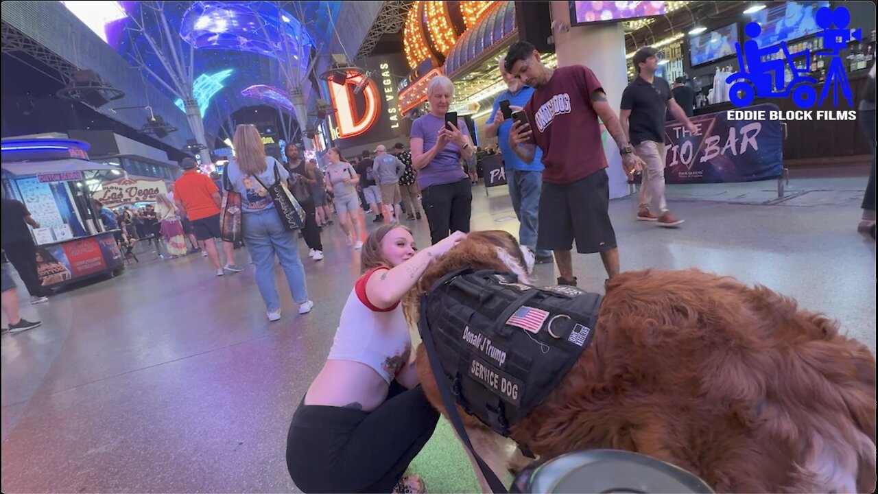Donnie Goes to Fremont Street Las Vegas Part 2