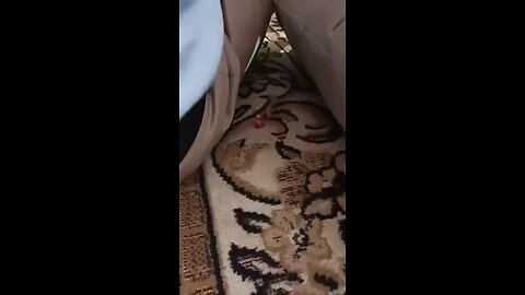 satisfying Video