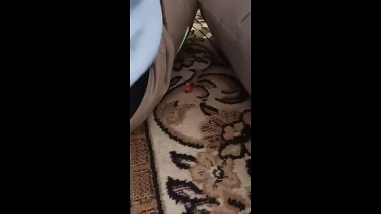 satisfying Video