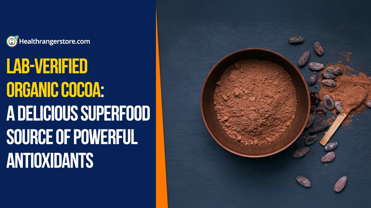 Lab-verified Organic Cocoa: A delicious superfood source of powerful antioxidants