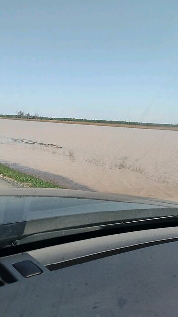 Flooded fields in Arkansas