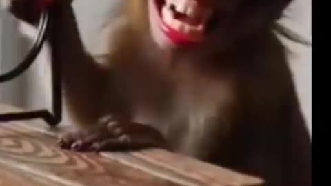 viral