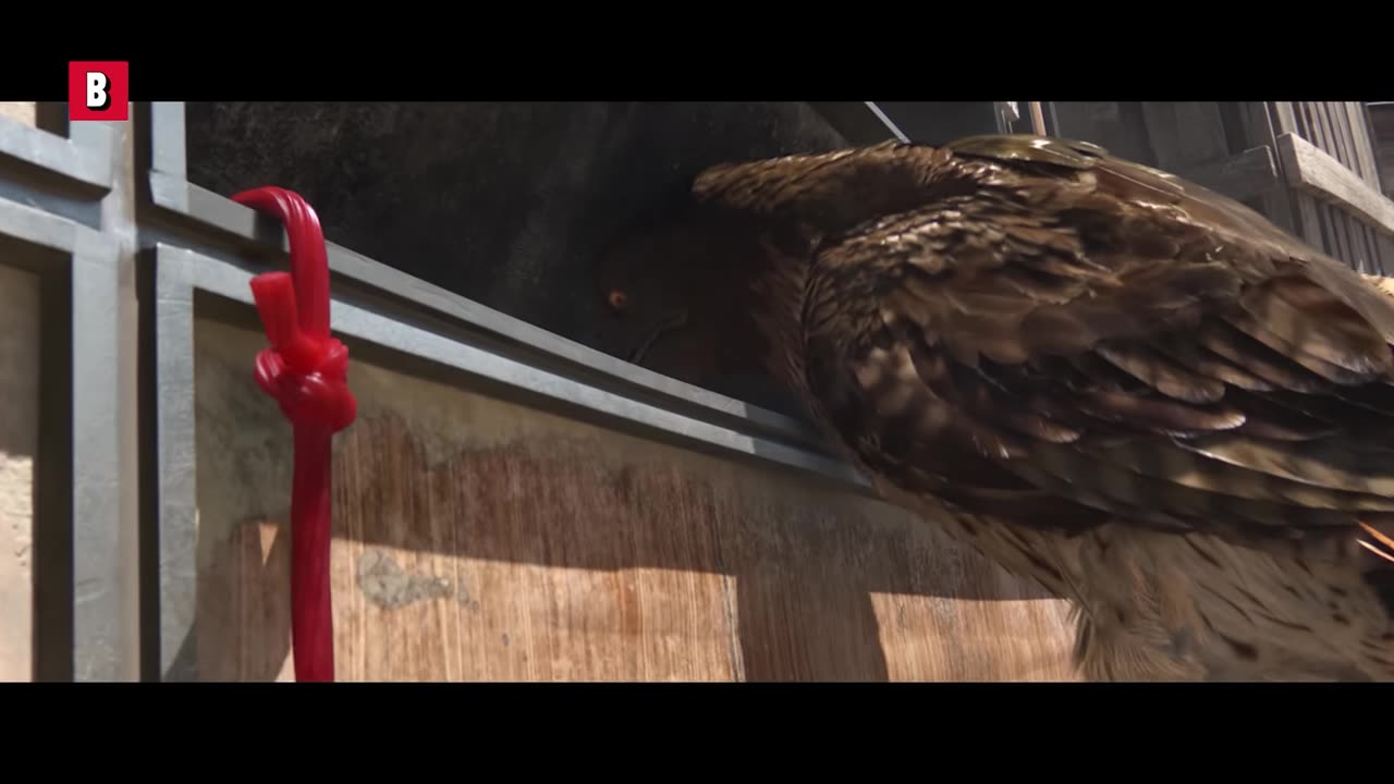 Rango king boss no water