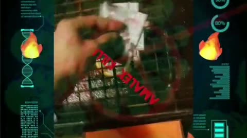 Tim Rifat TikTok Videos