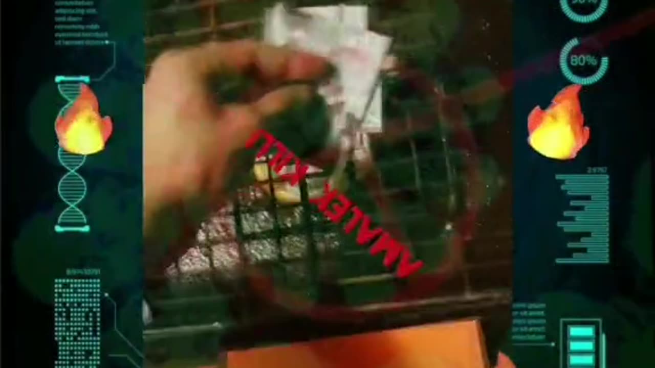 Tim Rifat TikTok Videos