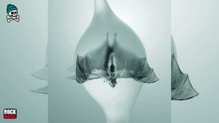 Unprocessed - Angel (2025)