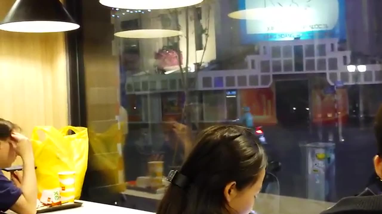 fatty demon pig - 2025 - YT - March 26th part 001 - HANOI