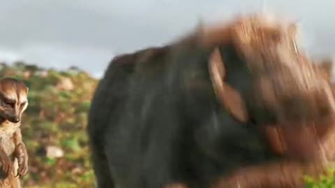 Mufasa 😍❤️ (Part - 2).....#reels #viralreels #reel #mufasa #animation #lastest #romantic #viralreel