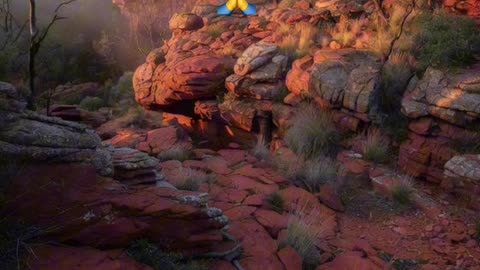 🙏✨ Oración Inspirada en las Lecturas de Hoy ✨🙏