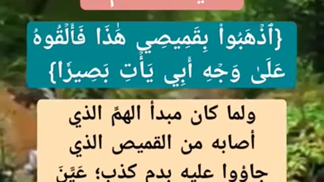 ما هو اختيار القميص دون غيره بارساله الى يوسف عليه السلامٕ