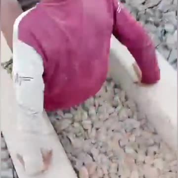 VIRAL: A boy performed a dangerous stunt for Instagram reels.