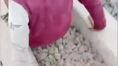 VIRAL: A boy performed a dangerous stunt for Instagram reels.