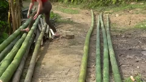 Technique growing vegetables in bamboo tubes