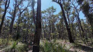 Lesleys Nature Trail Western Australia