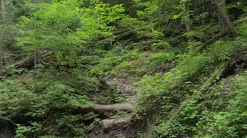 Grimes Glen - The Creek! -
