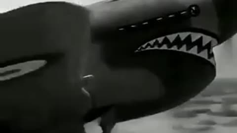 A World War 2 plane has been discovered remarkably well-preserved in the Sahara Desert
