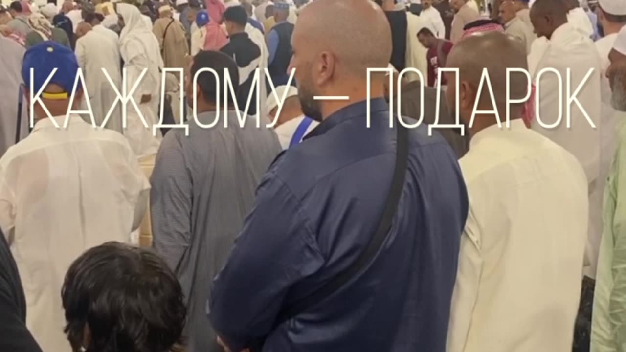 Курицы не едут в Мекку. А ТЫ?!