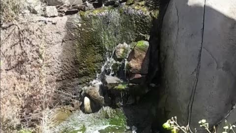 Reserva Maulina