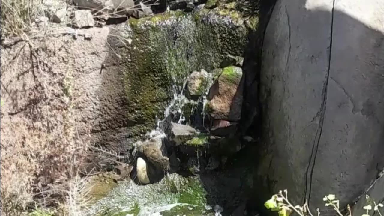 Reserva Maulina
