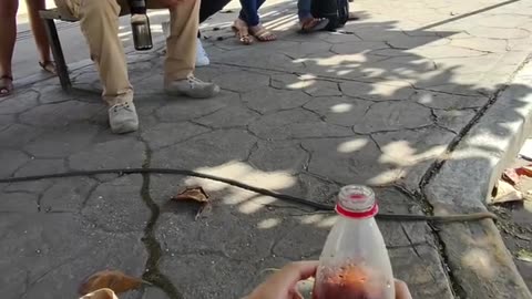 😂💡 Girl in 7-11 Mexico! | FunFM